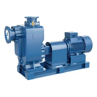 Самовсасывающий насос для загрязненной воды PURITY PZWM 50-20-15/2, 400В/50Гц