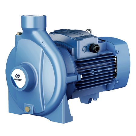 Моноблочный насос PURITY PC 5BM m